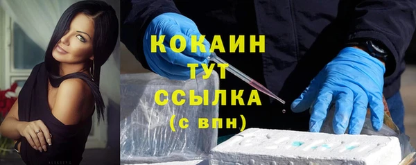 твердый Абаза