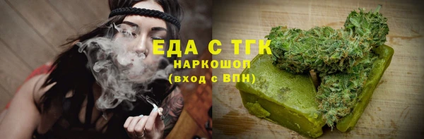 индика Пестово