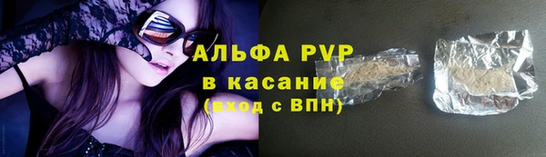ПСИЛОЦИБИНОВЫЕ ГРИБЫ Переславль-Залесский